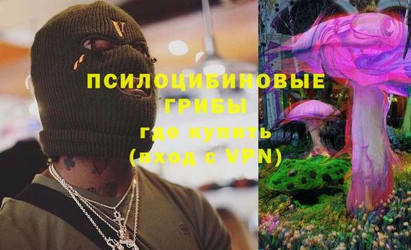 МДПВ Нефтегорск