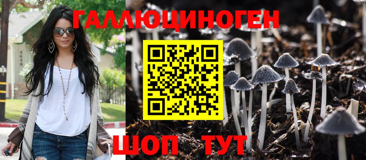 Галлюциногенные грибы GOLDEN TEACHER Балахна