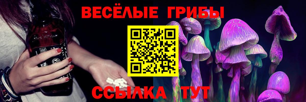 Галлюциногенные грибы Psilocybine cubensis  наркошоп  Балахна 