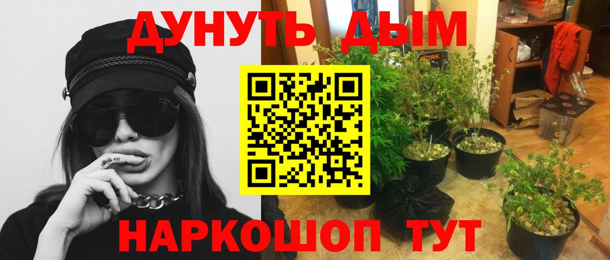 Бошки Шишки план  Балахна  Марихуана AK-47  Канабис индика  Бошки марихуана план 